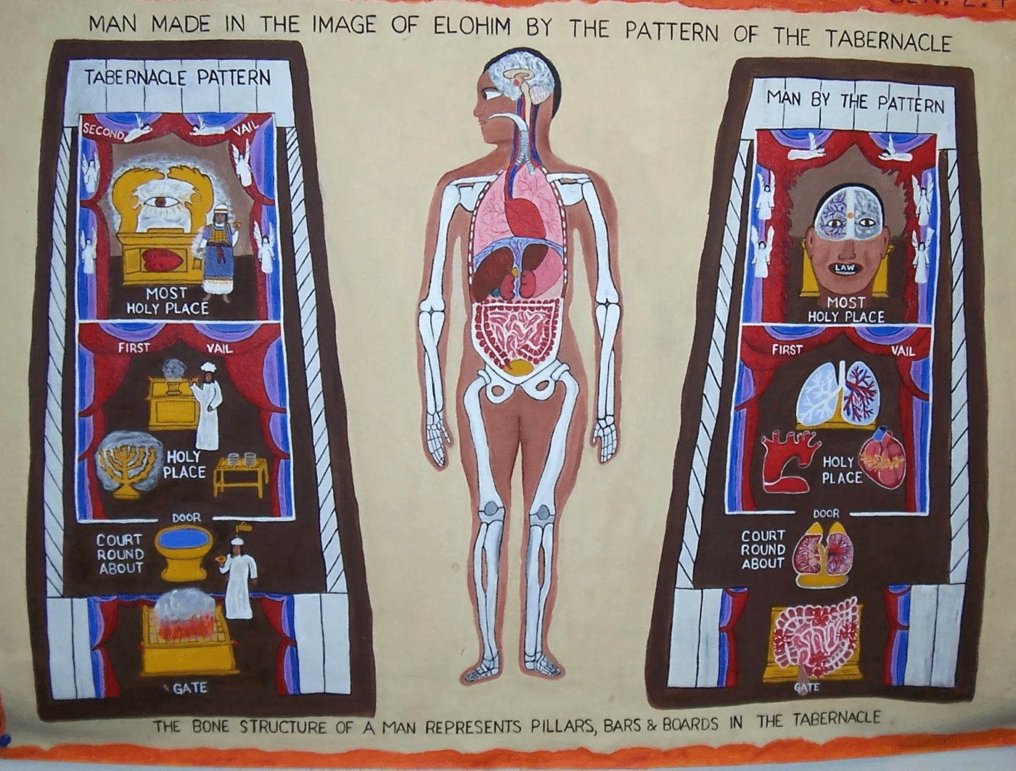 A painting of the human body with various organs.